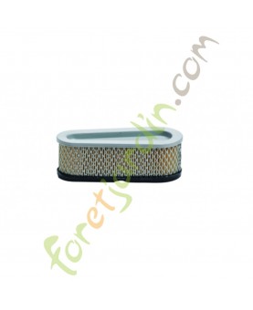 Filtre à air pour moteur Briggs & Stratton