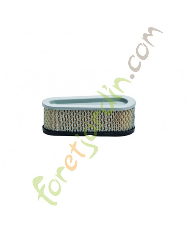 Filtre à air pour moteur Briggs & Stratton