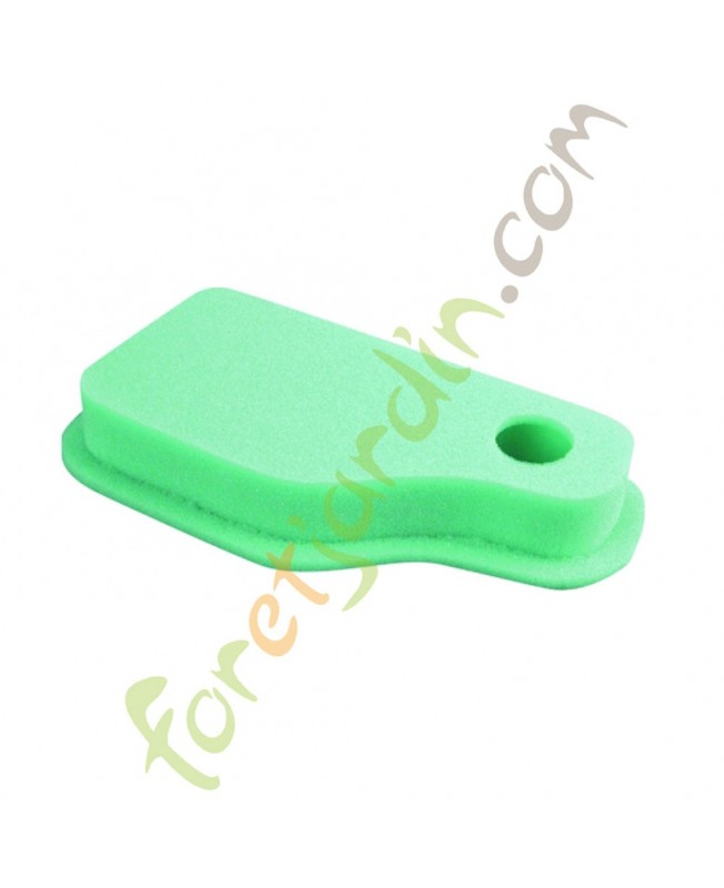 Filtre à air pour moteur Briggs & Stratton