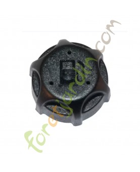 497929s Bouchon de réservoir Briggs & Stratton