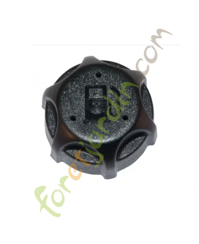 497929s Bouchon de réservoir Briggs & Stratton