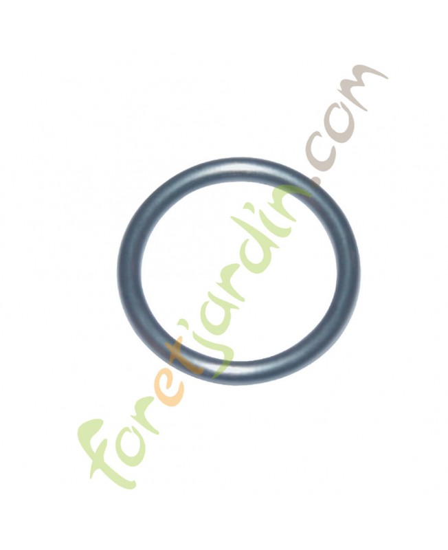 270344S Joint torique Briggs & Stratton