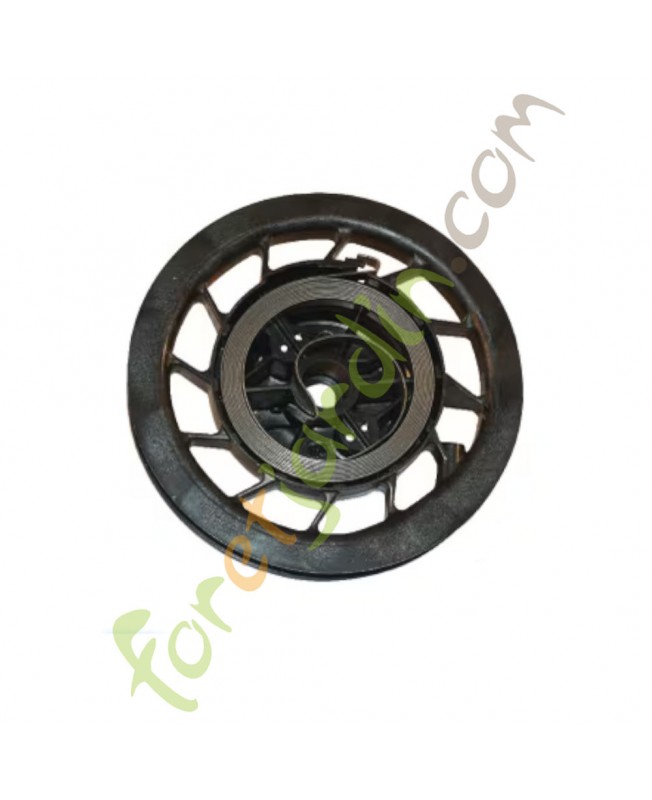 499901 Ensemble poulie ressort Briggs & Stratton