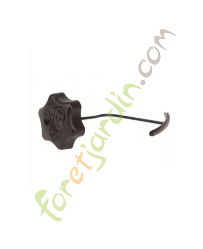 596250 Bouchon de réservoir  Briggs & Stratton