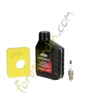 Kit entretien série 450E, 500E Briggs & Stratton réf. 992231