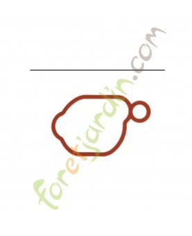 799580 Joint de boîtier filtre à air Briggs & Stratton