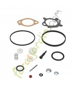 498260 Kit révision carburateur Briggs & Stratton