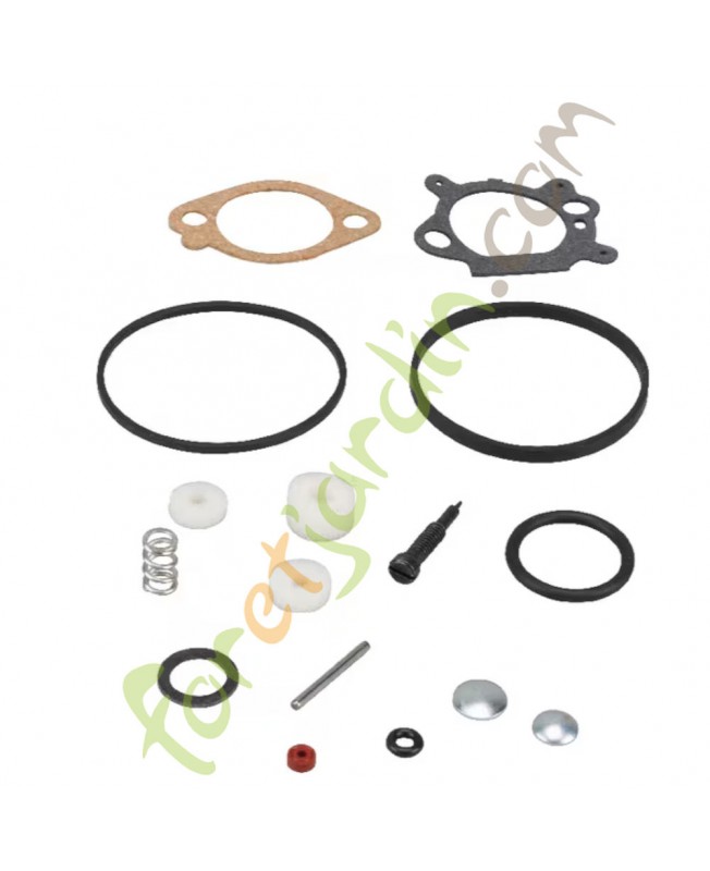 498260 Kit révision carburateur Briggs & Stratton