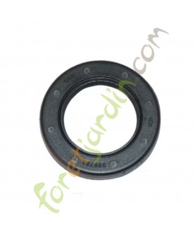 399781S Bague étanchéité huile Briggs & Stratton