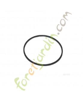 693981 Joint cuvette flotteur Briggs & Stratton