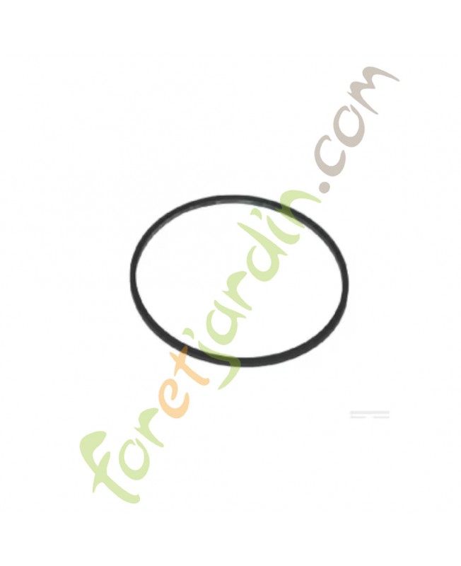 693981 Joint cuvette flotteur Briggs & Stratton