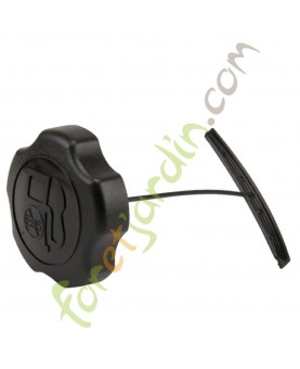 596206  Bouchon de réservoir Briggs & Stratton