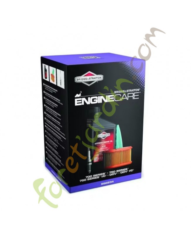 Kit mise au point Briggs & Stratton réf. 992234