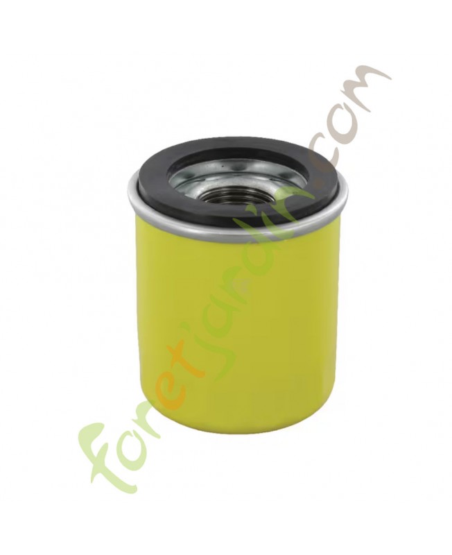 795990  Filtre à huile Briggs & Stratton