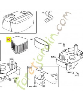 597265  Filtre Briggs &...