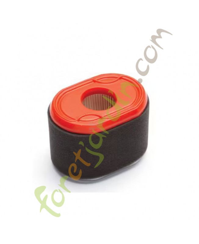 796970  Filtre à air ovale - Briggs & Stratton