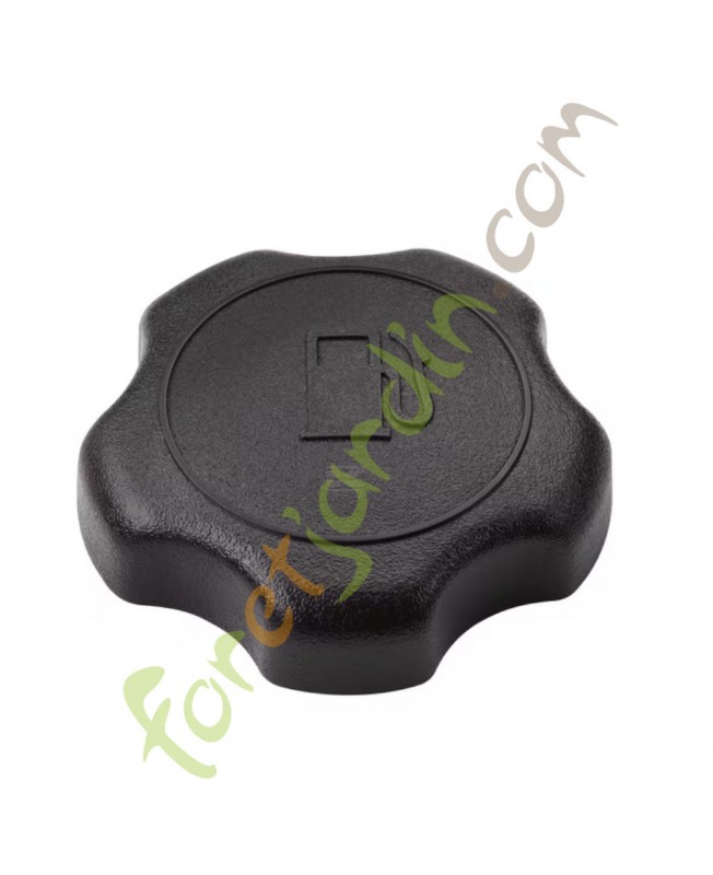 795027 Bouchon de reservoir Briggs & Stratton