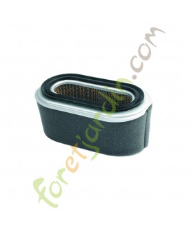 filtre_air_honda_30349_17210734003_17210734505