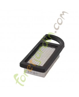 794421 filtre a air plat Briggs & Stratton