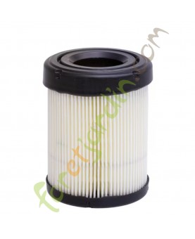 591583 Filtre a air Briggs & Stratton