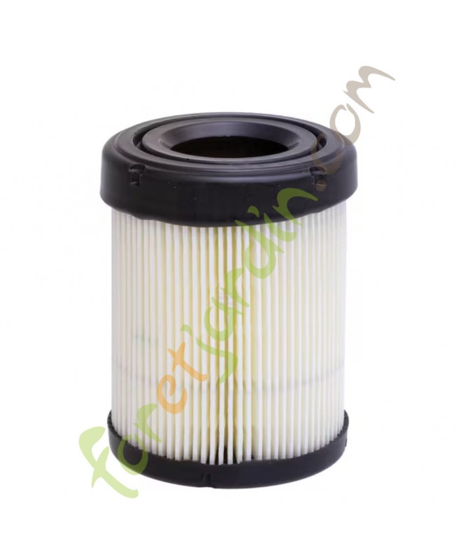 591583 Filtre a air Briggs & Stratton