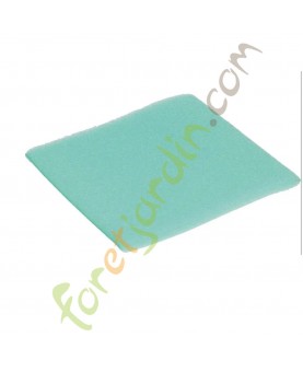 797704  Pré-filtre Briggs & Stratton