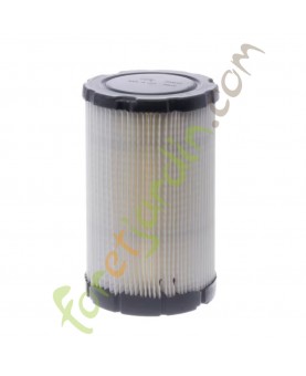 594201 element filtre a air Briggs & Stratton