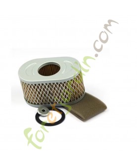 797033 Filtre à air ovale - Briggs & Stratton