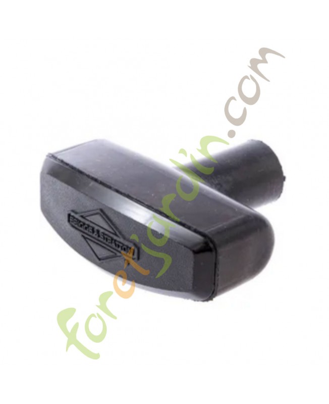 490652 Poignée de lanceur Briggs & Stratton