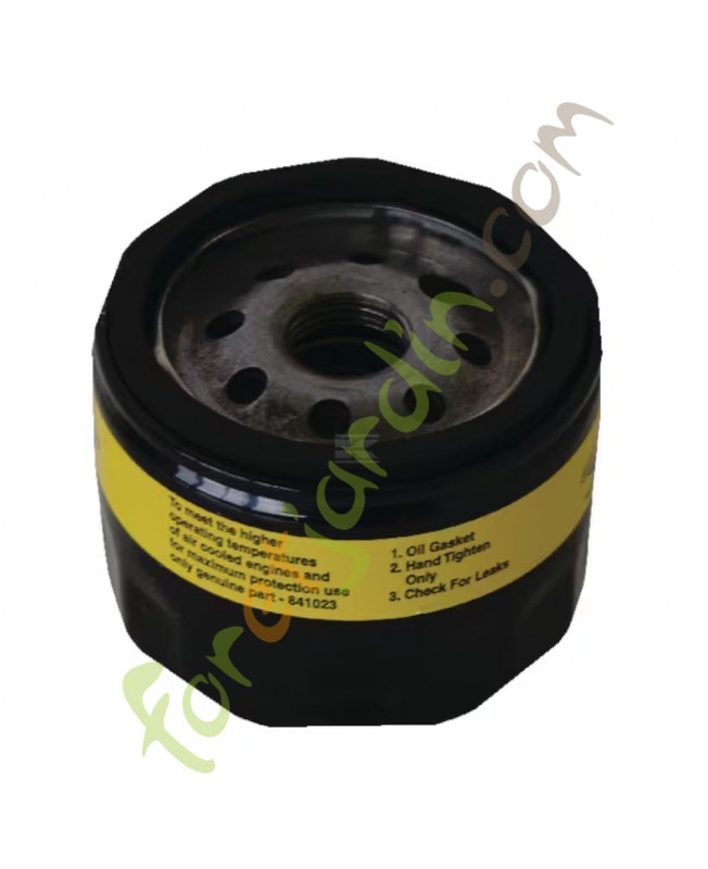 842921  Filtre à huile Briggs & Stratton