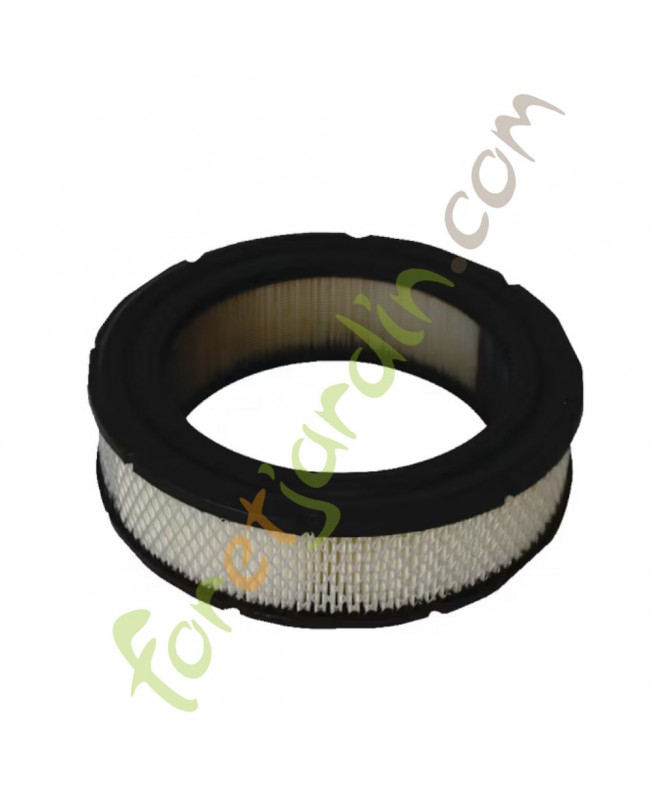 692519  Filtre à air rond Briggs & Stratton