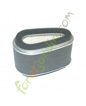 filtre_air_kawasaki_30305_110132093