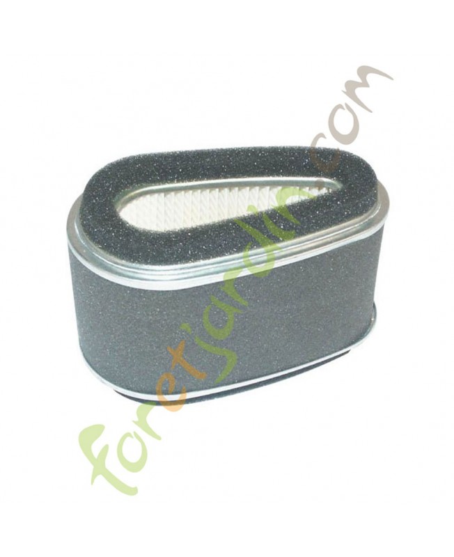 filtre_air_kawasaki_30305_110132093