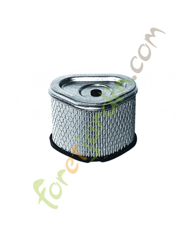 filtre_air_kohler_30088_1208310