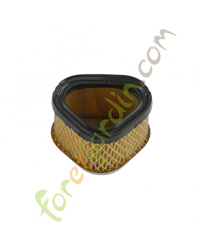 filtre_air_kohler_30085_1208305