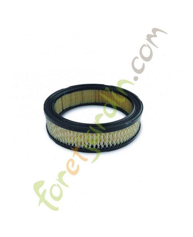 filtre_air_kolher_30098_4708301