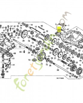 Vis  réf honda 80081Y09003