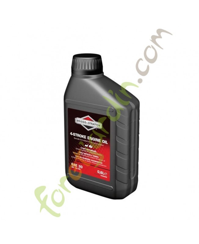 huile_briggs_stratton_100005e
