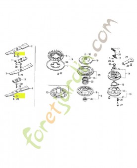 Rondelle elastique, 10mm réf. Honda 90481430000