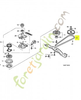 Courroie en v (z-32) réf....
