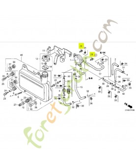 Vis a tete a rondelle 5x14 Honda 938940501400