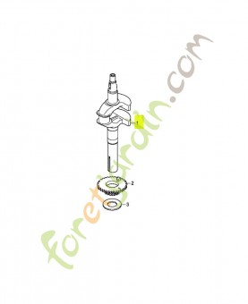 Vilebrequin réf. Honda 13311Z9L860