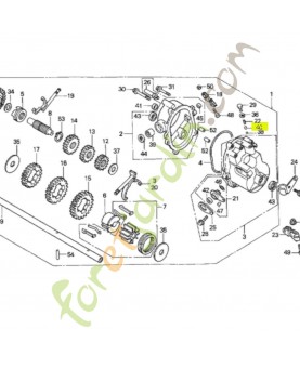 Douille  (6mm) Honda...