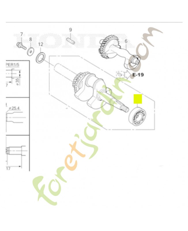 Roulement a billes radial Honda 91001ZF6013