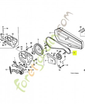 Courroie en v (37) réf. Honda 22431733622