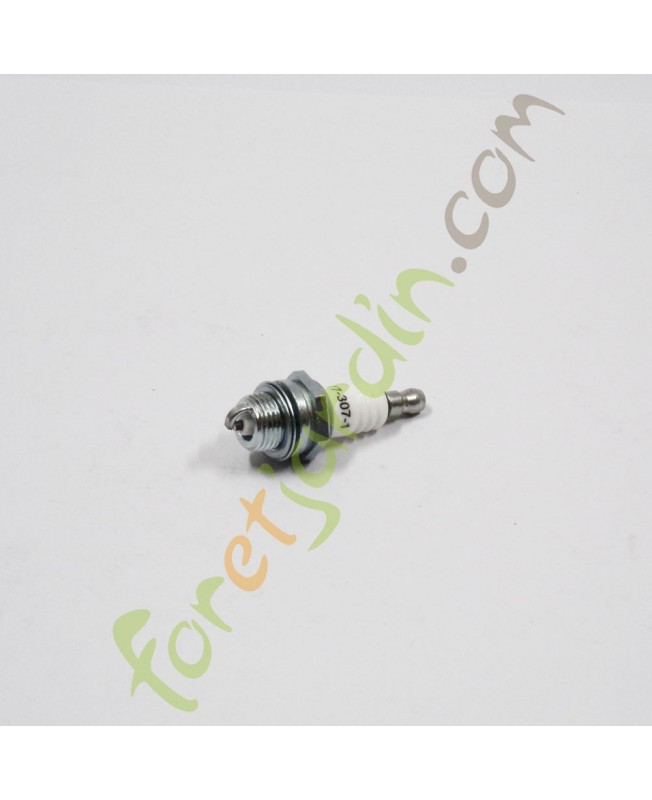bougie_tronconneuse_debroussailleuse_bosch_champion_ngk_773071