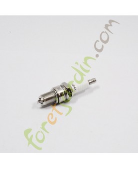  bougie_moteur_brigg_stratton_oregon_ngk_bosch_champion