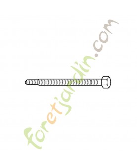 Broche filetée côté volant magnétique (ZS)