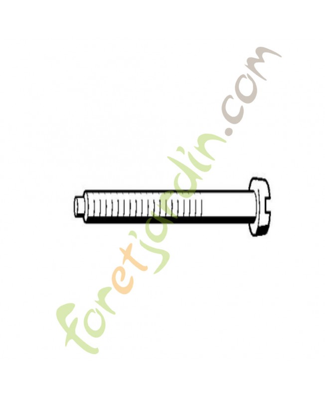 Vis cylindrique M5x50