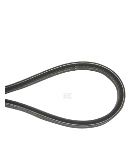 Courroie d'entraînement 1134905801 - Pièce détachée adaptable